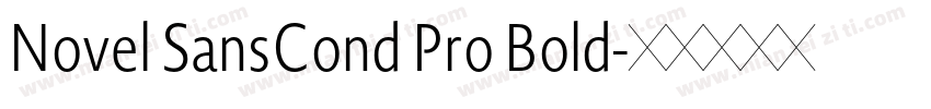 Novel SansCond Pro Bold字体转换
